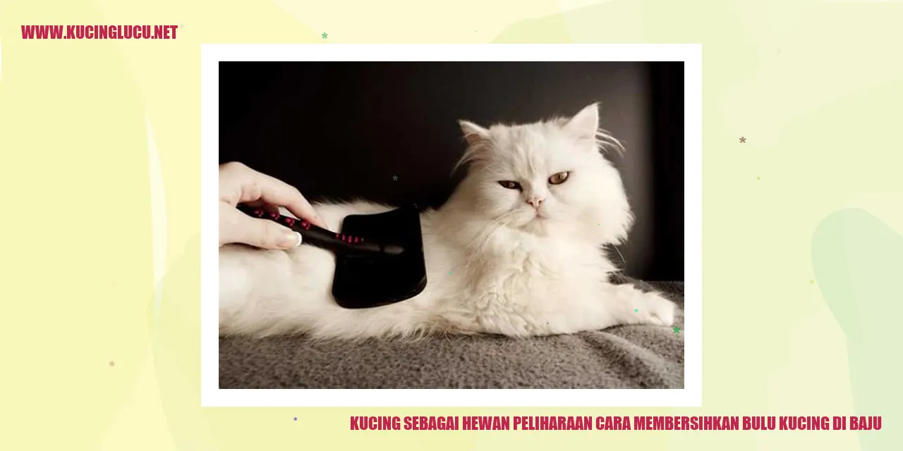 Gambar Kucing dengan Bulu di Baju