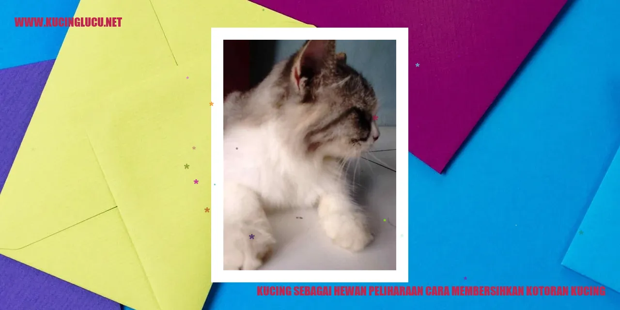 Kucing sedang bermain