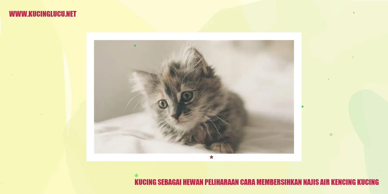 Foto Kucing Sedang Menyusui Anaknya