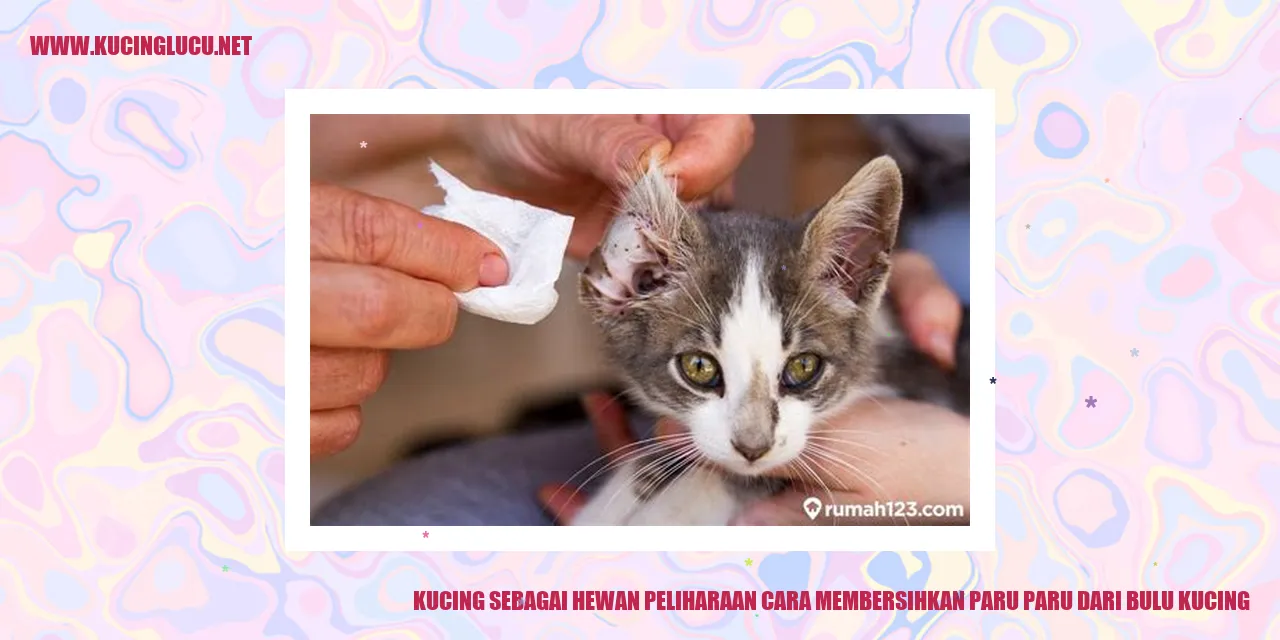Kucing dengan bulu yang bersih