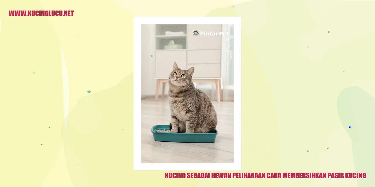 Kucing menggunakan pasir kucing