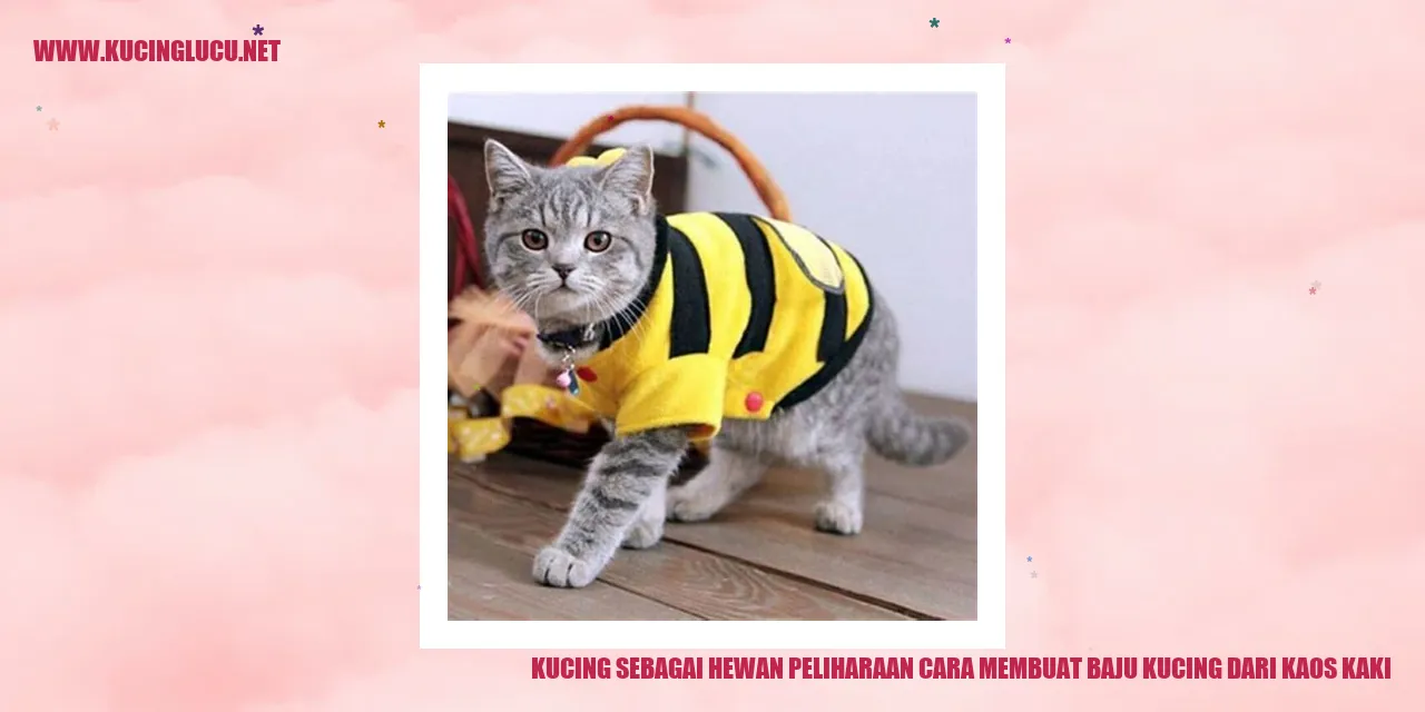 Kucing manis dengan baju dari kaos kaki
