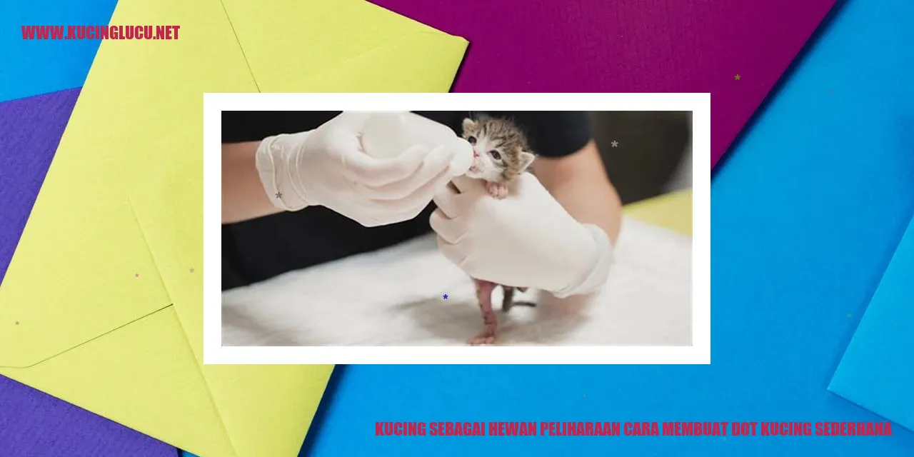 Gambar kucing sedang bermain dengan dot sederhana