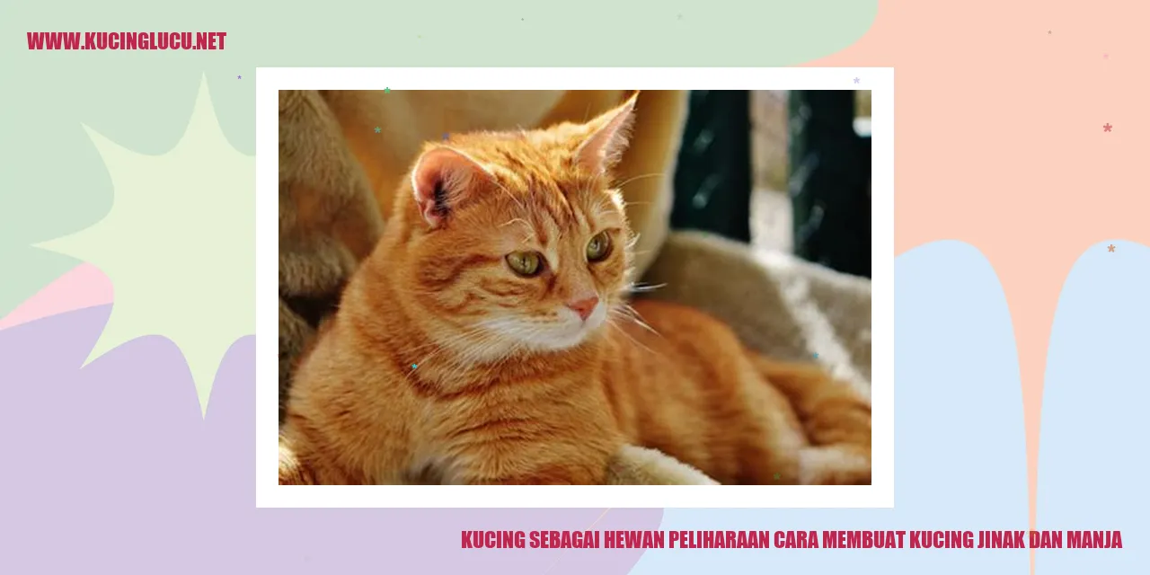 Gambar kucing yang lembut dan akrab