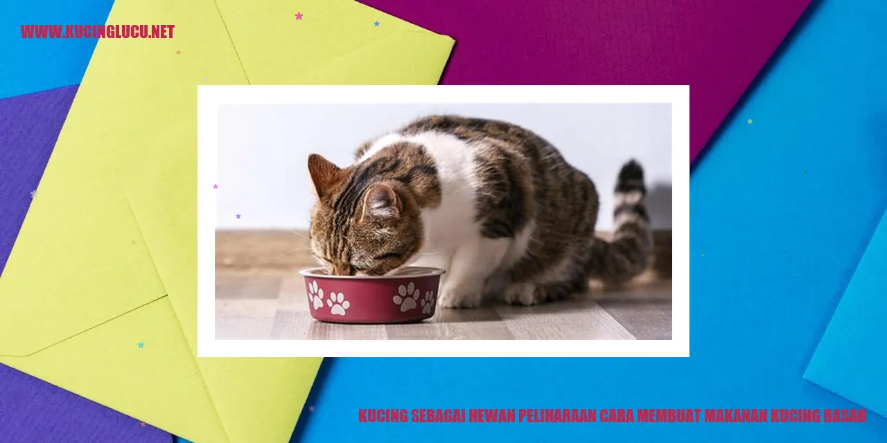 Kucing sebagai Hewan Peliharaan cara membuat makanan kucing basah