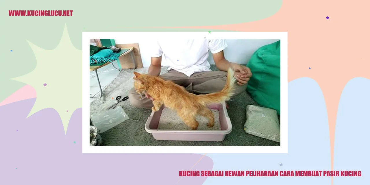 Kucing dan pasir kucing