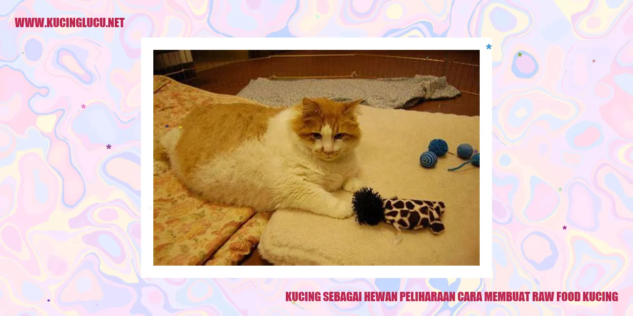 Kucing sebagai Hewan Peliharaan cara membuat raw food kucing
