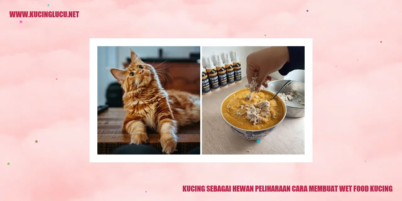 Kucing makan wet food
