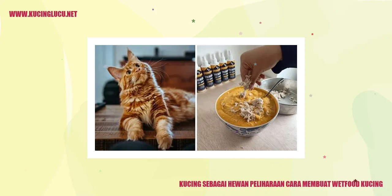 Gambar Kucing Menikmati Makanan Basah