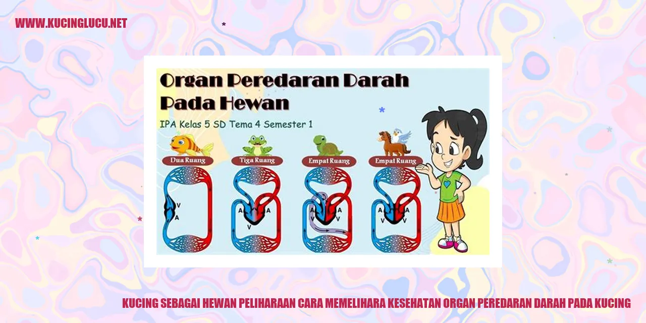 Kucing Sebagai Hewan Peliharaan