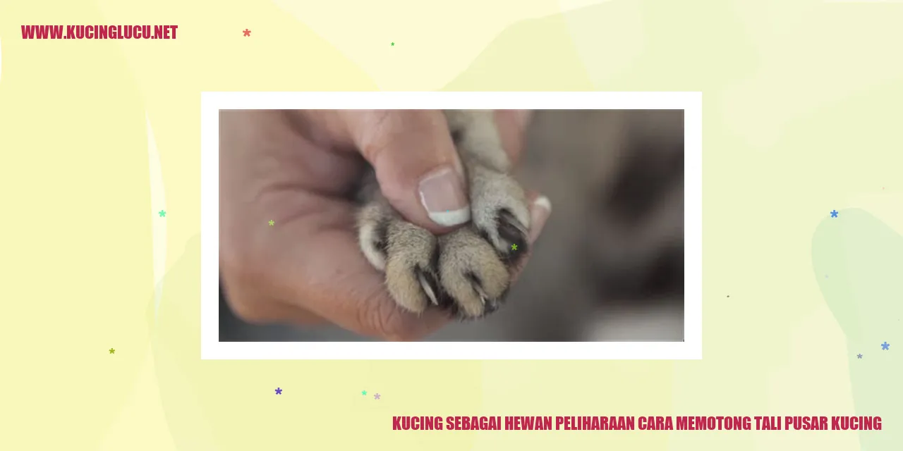 Gambar Kucing