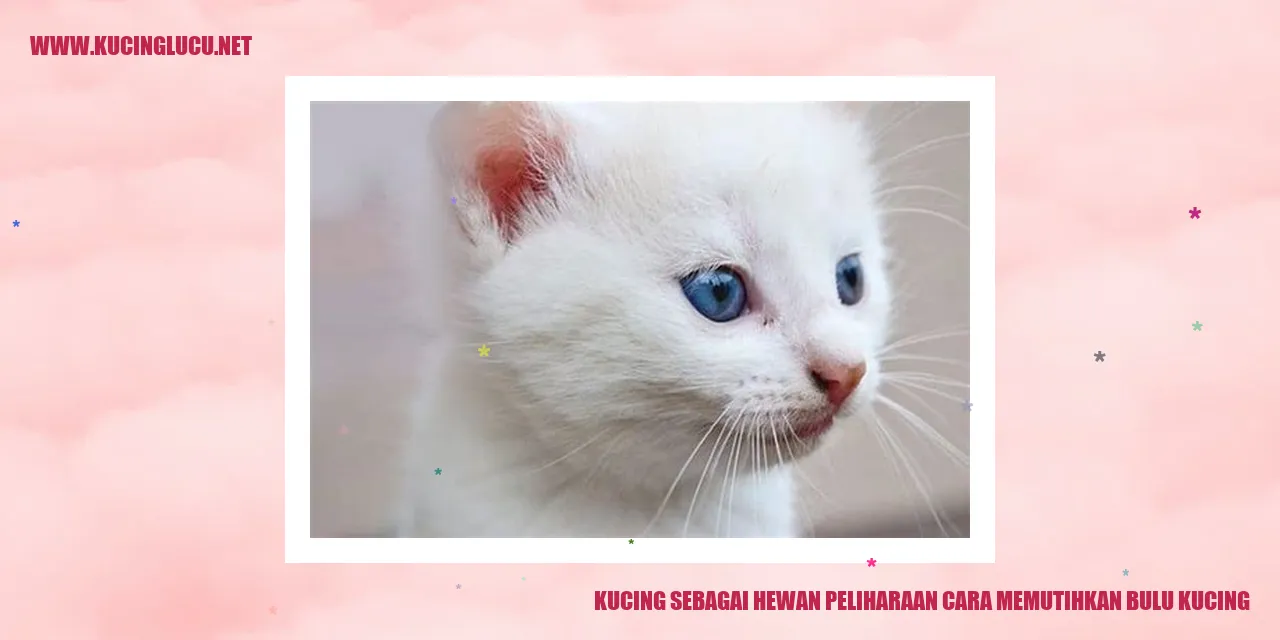 Ilustrasi Kucing dengan Bulu Putih