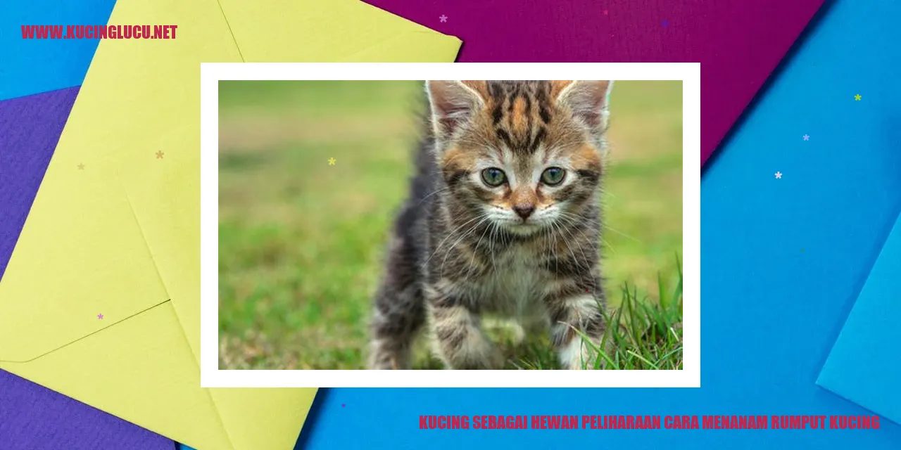 Kucing dan Rumput Kucing
