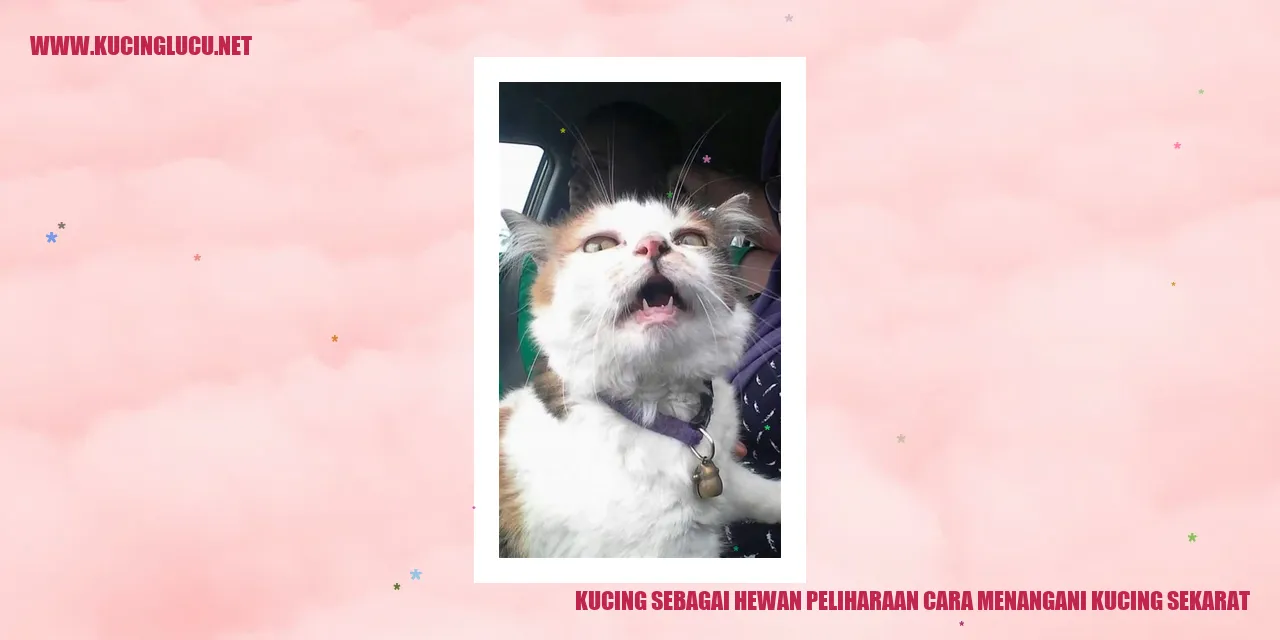 Ilustrasi Kucing yang Sedang Sakit