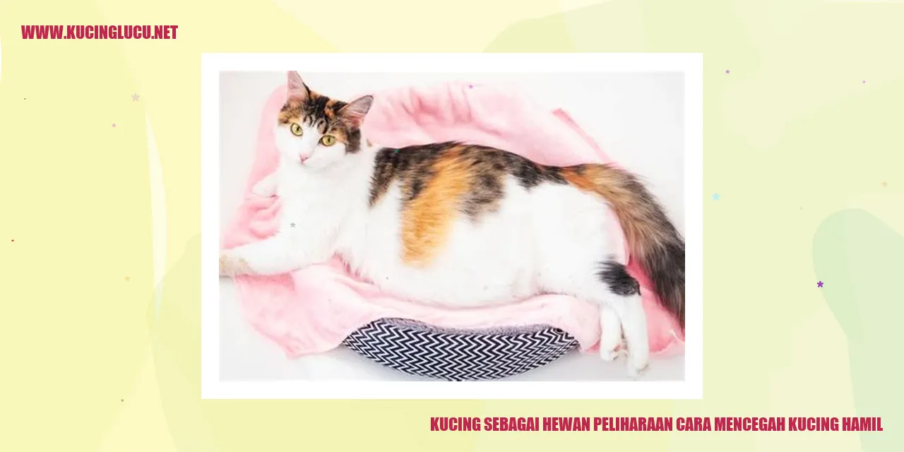 Kucing yang Menggemaskan
