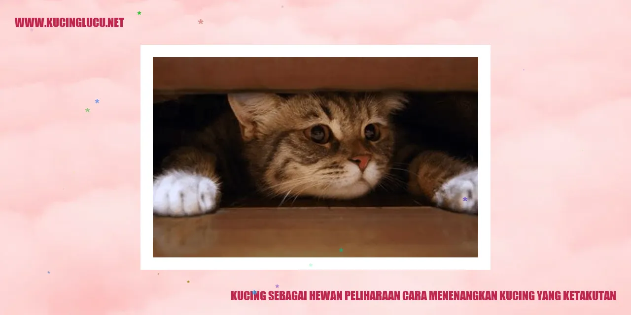 Kucing yang ketakutan