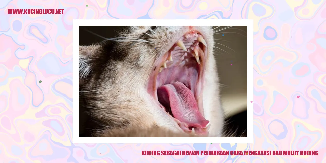 Kucing sedang tidur