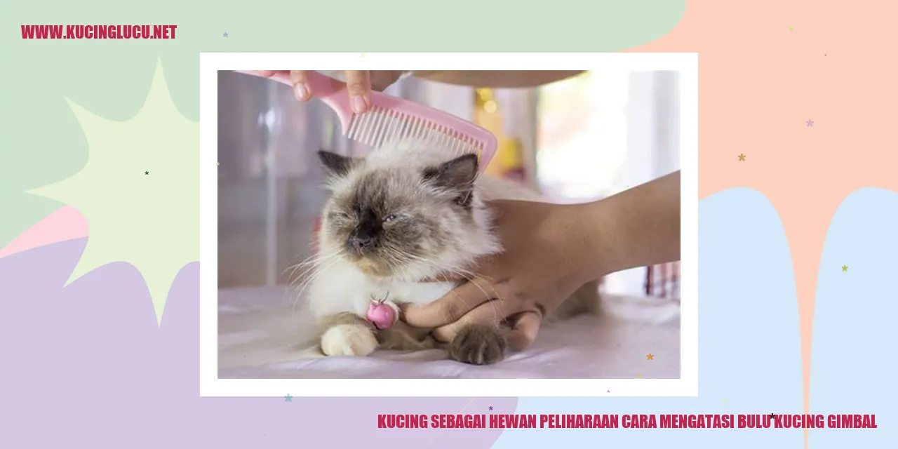 Gambar Kucing yang Manis
