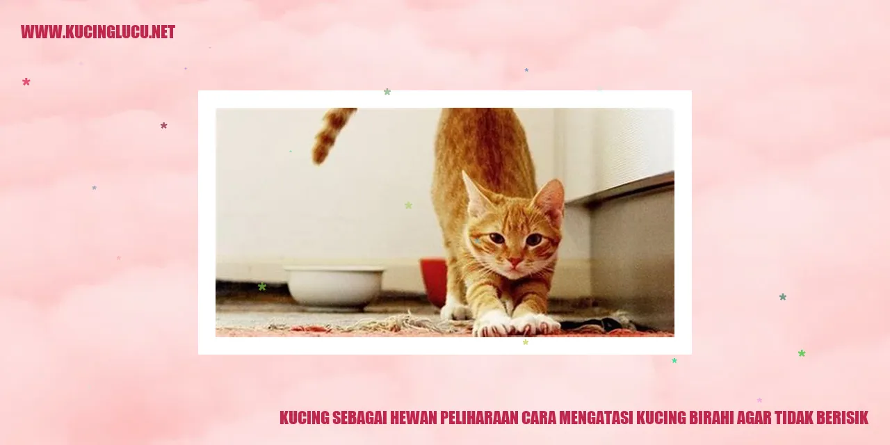 Kucing birahi
