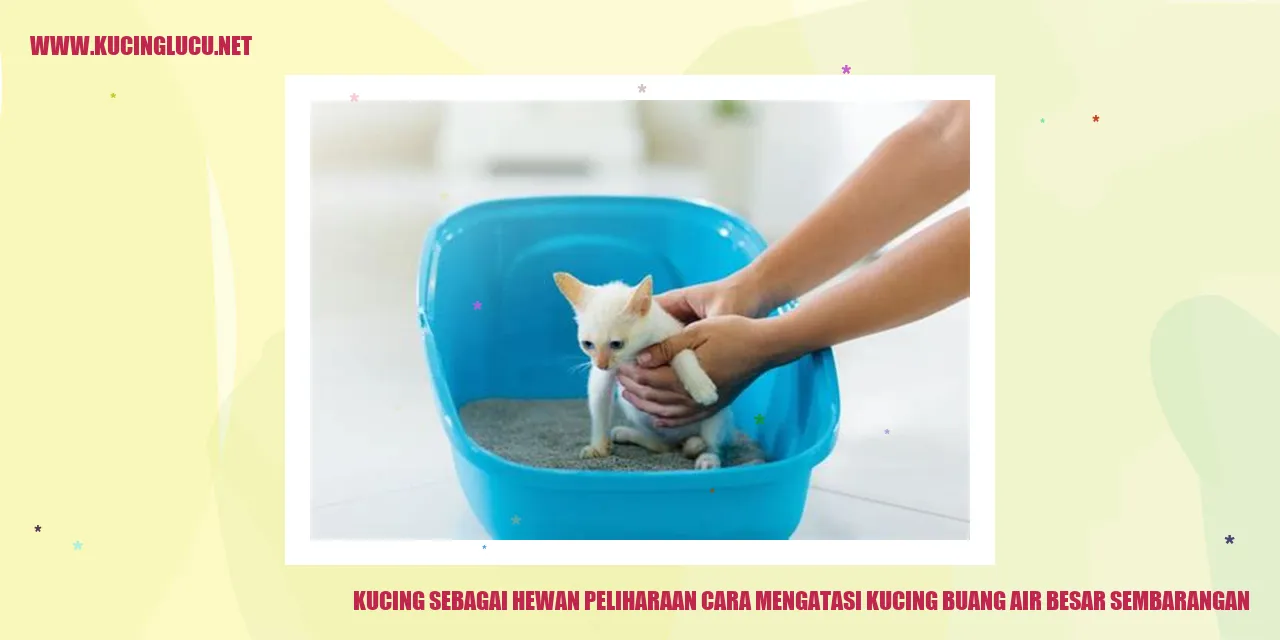 Kucing Buang Air Besar Sembarangan