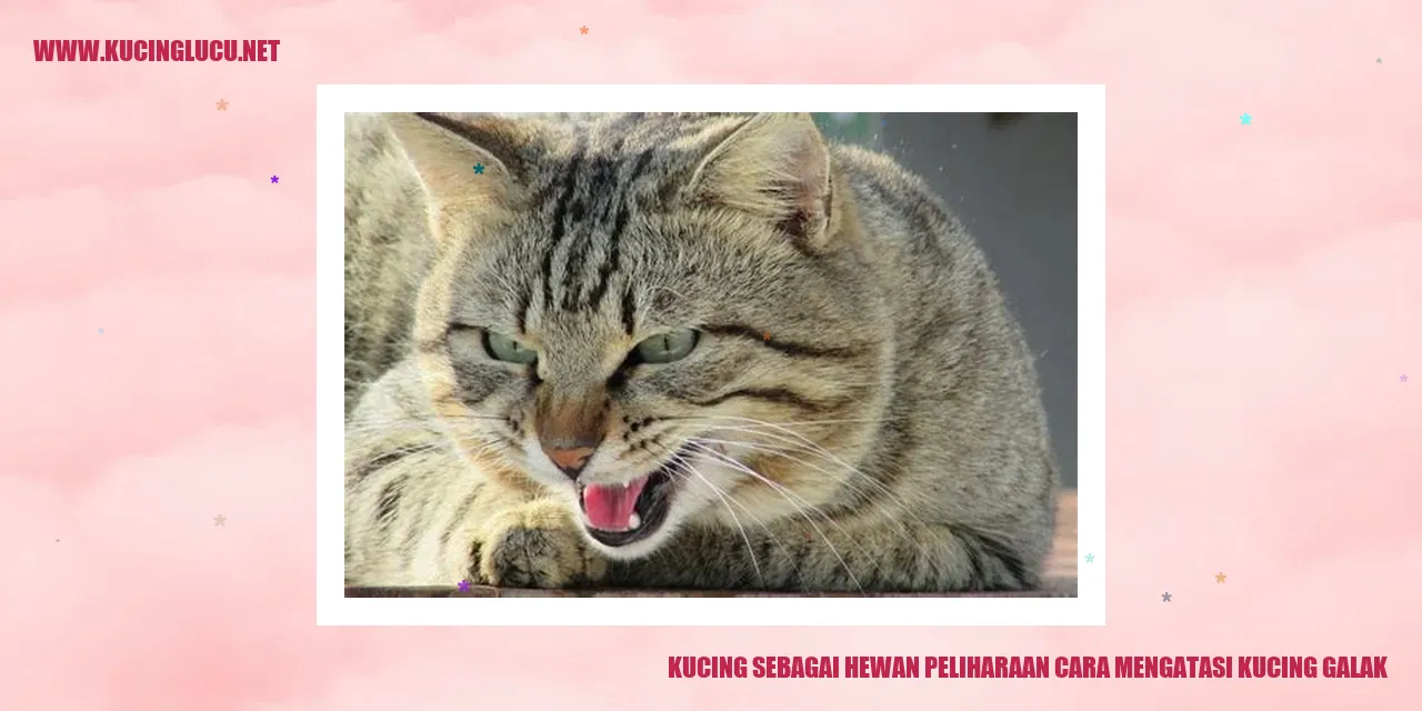 Kucing Menggemaskan