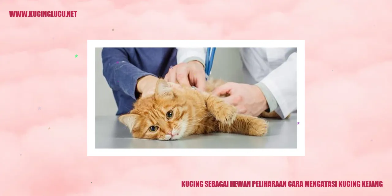 Gambar Kucing