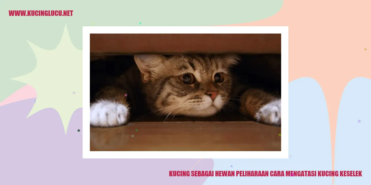 Kucing Tersendat Makanan