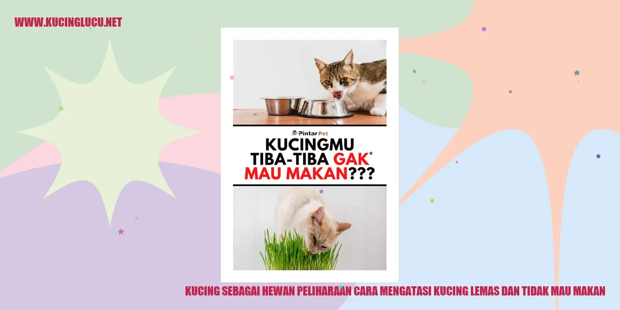 Gambar Kucing
