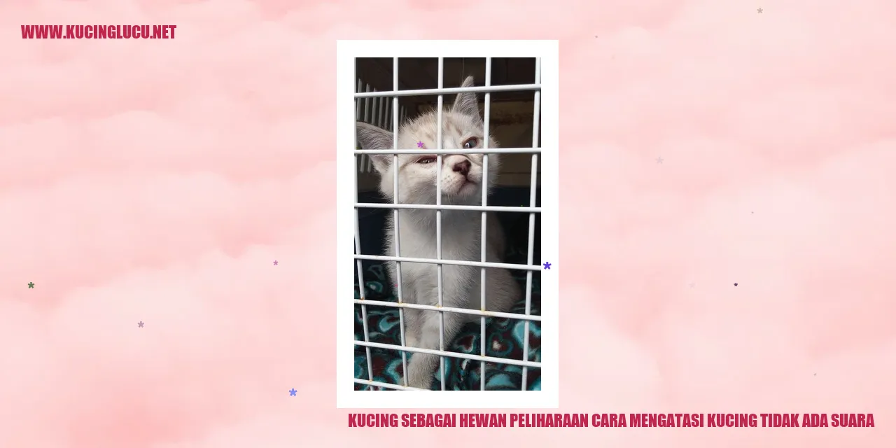 Kucing Peliharaan yang Lucu