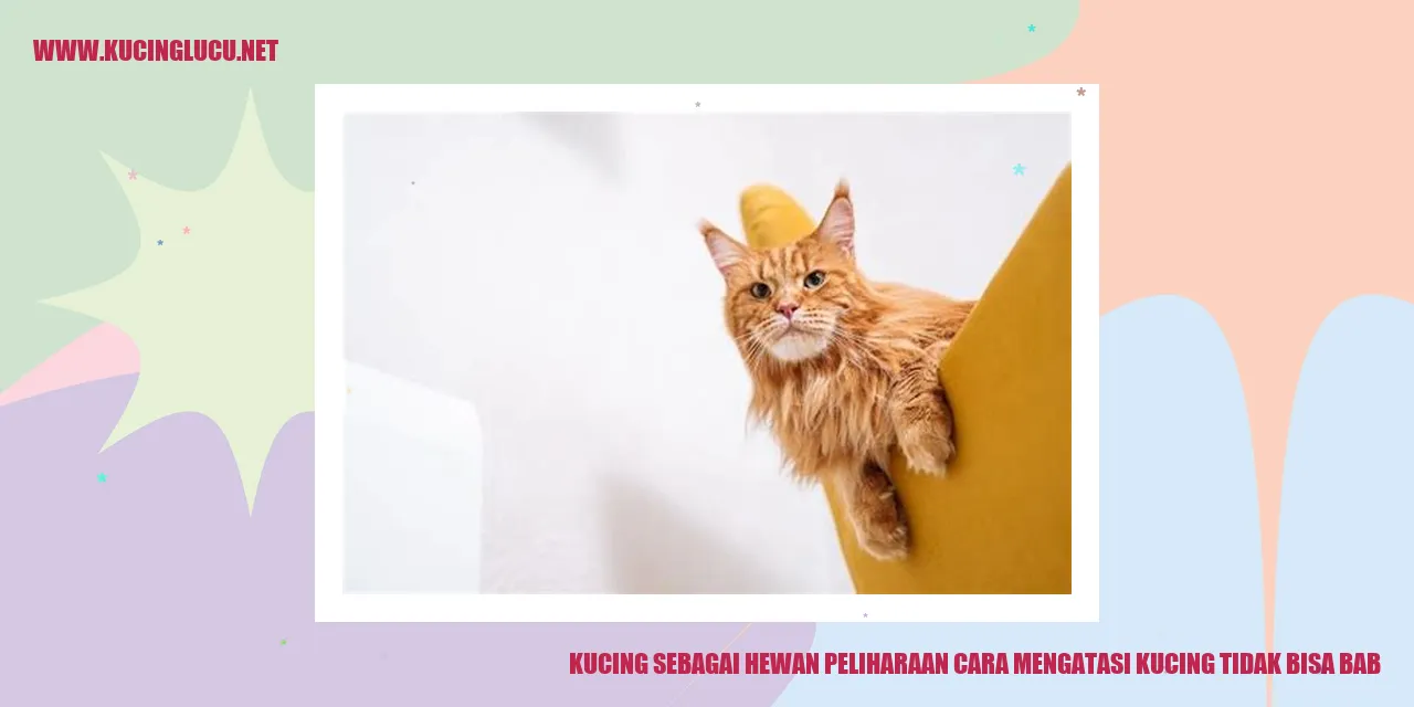 Kucing menyusui anaknya