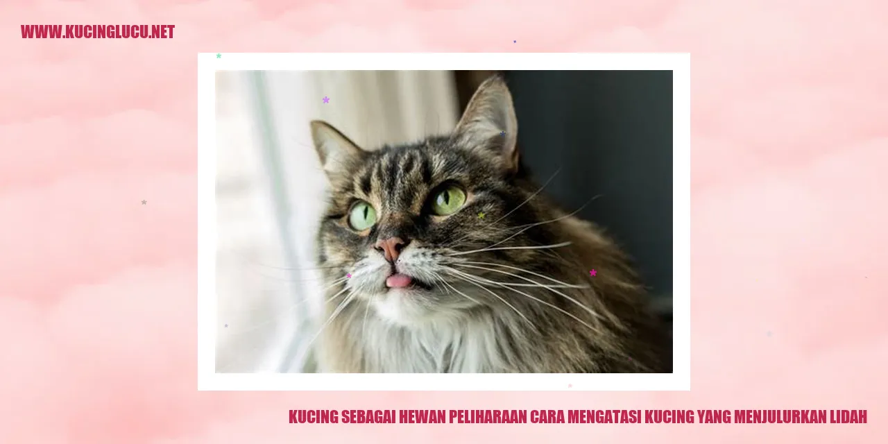 Kucing Melanggar Adab