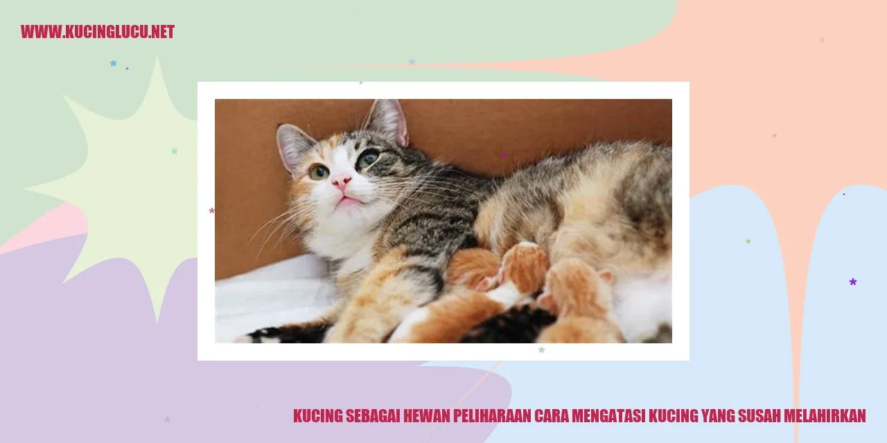 Kucing sebagai Hewan Peliharaan