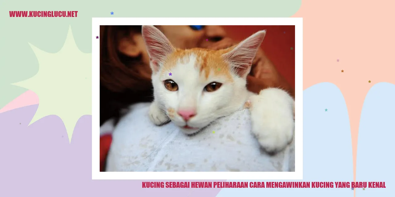 Kucing Melakukan Kebrejan