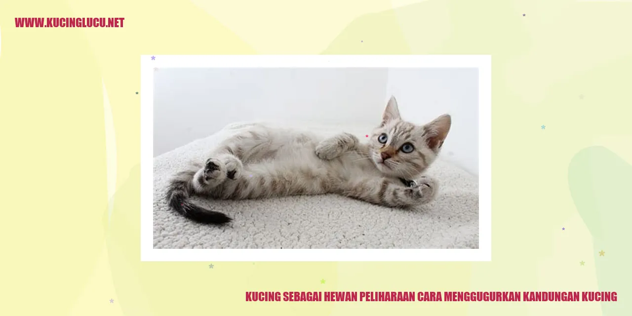 Kucing sebagai Hewan Peliharaan cara menggugurkan kandungan kucing