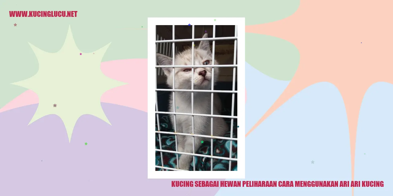 Kucing sebagai Hewan Peliharaan cara menggunakan ari ari kucing
