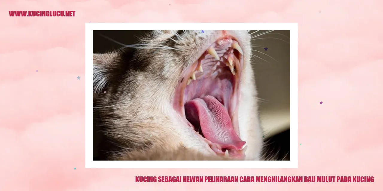 Kucing dengan mulut bersih