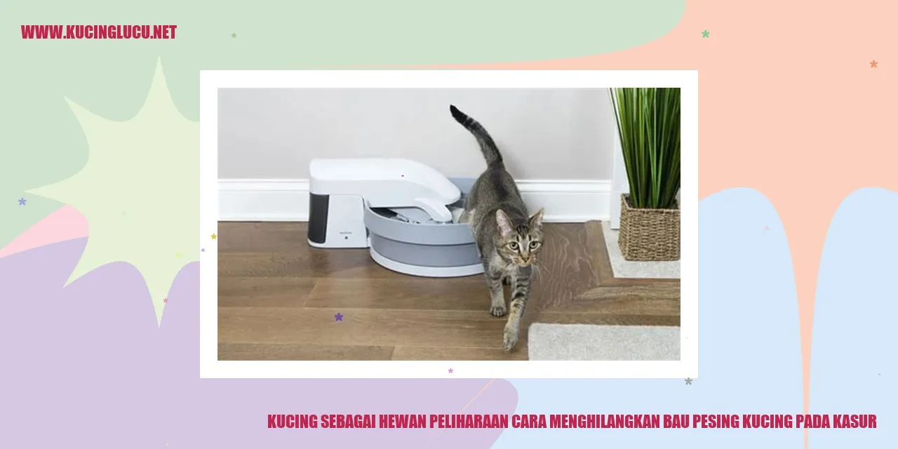 Gambar Kucing Menghilangkan Bau Pesing Kucing pada Kasur