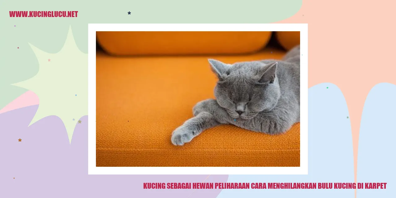 kucing imut