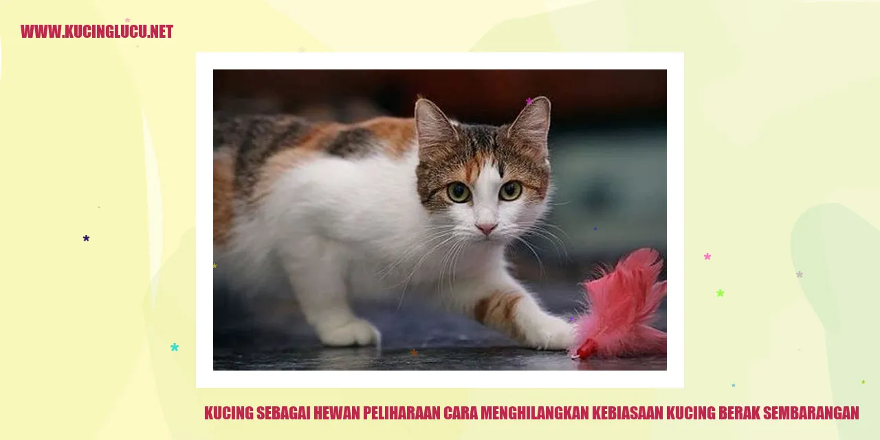 Kucing Menggunakan Litter Box