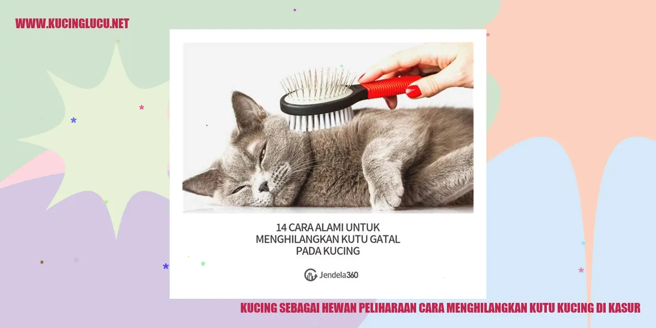 Gambar kucing