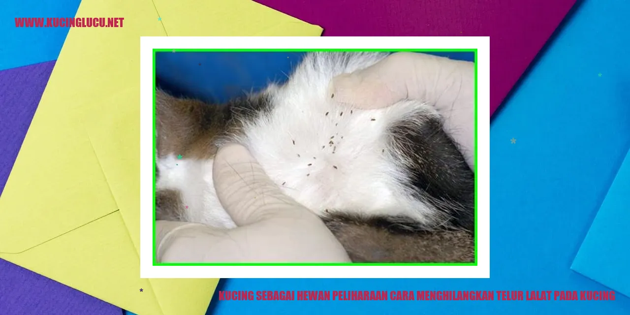 Gambar Kucing Menggemaskan