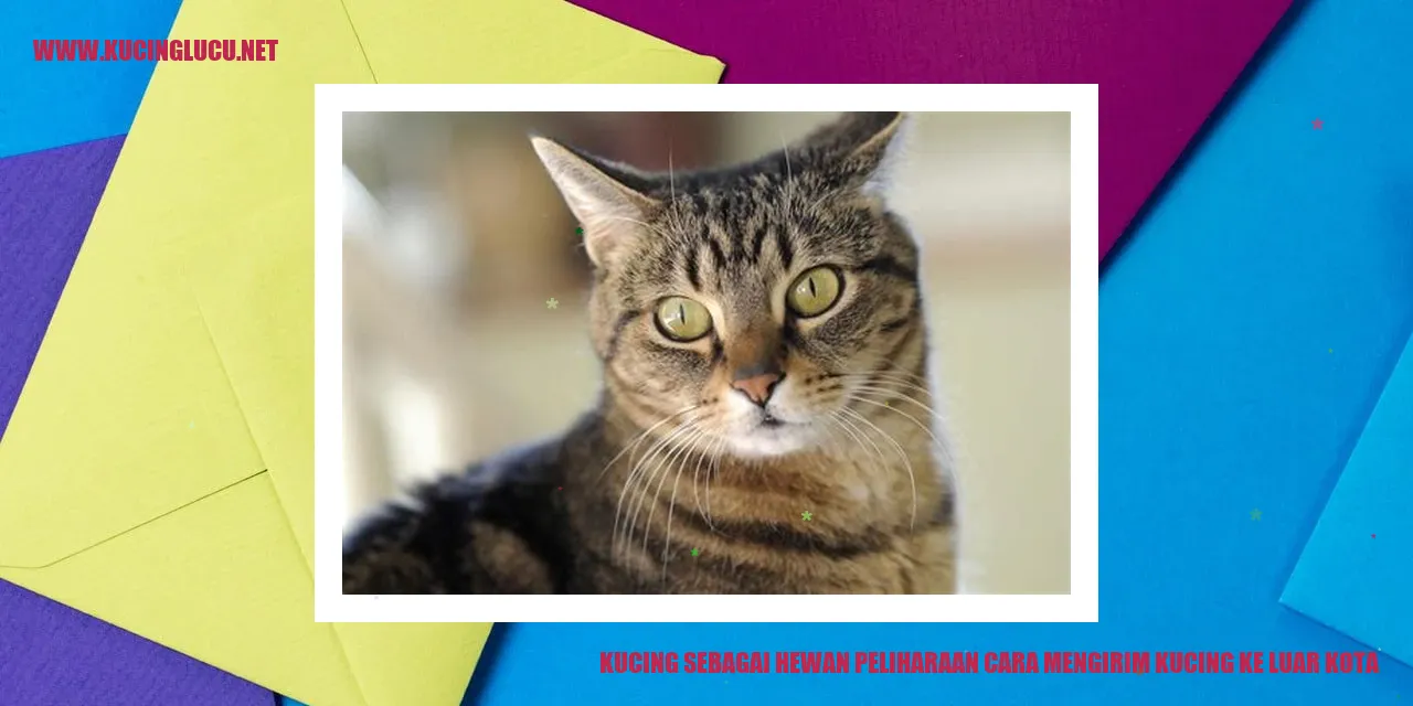 Kucing sebagai Hewan Peliharaan cara mengirim kucing ke luar kota