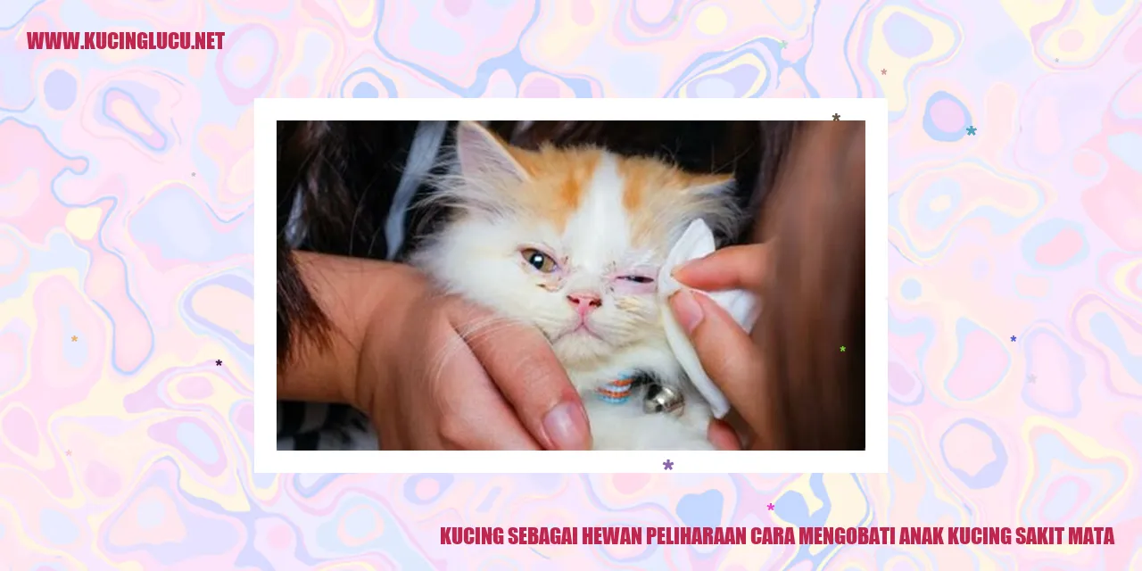 Kucing sakit mata