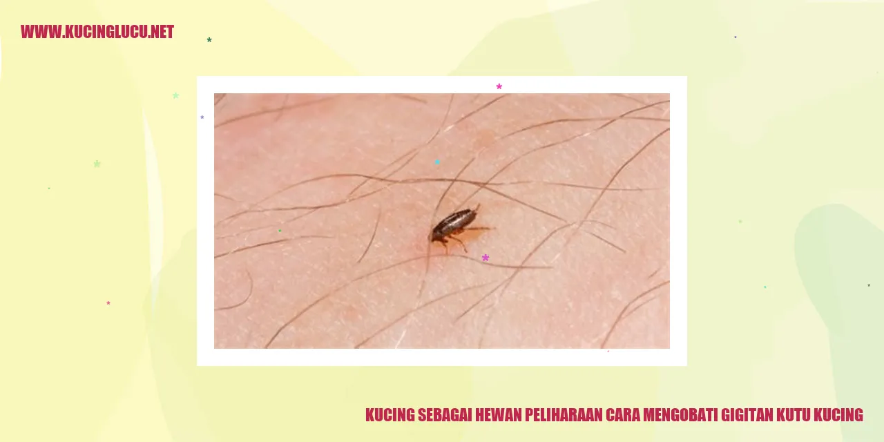 Kucing Peliharaan