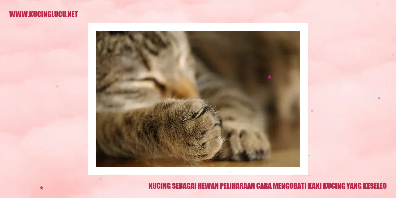 Gambar Kucing yang Menggemaskan