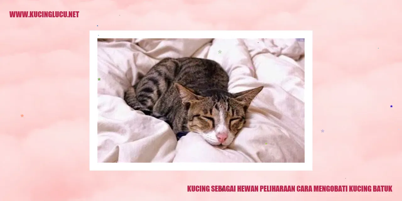 Kucing sebagai Hewan Peliharaan cara mengobati kucing batuk