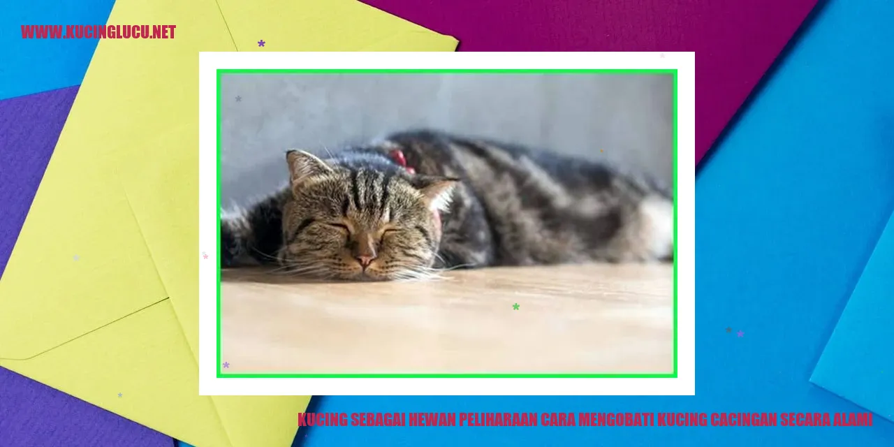 Cara Mengobati Kucing Cacingan dengan Metode Alami
