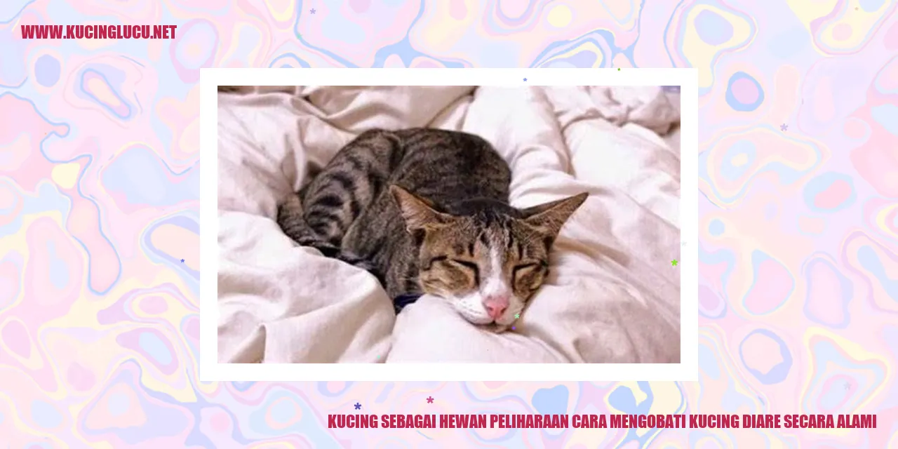 Gambar kucing yang menggemaskan