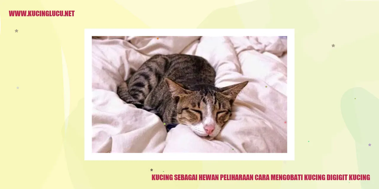 Kucing sebagai Hewan Peliharaan