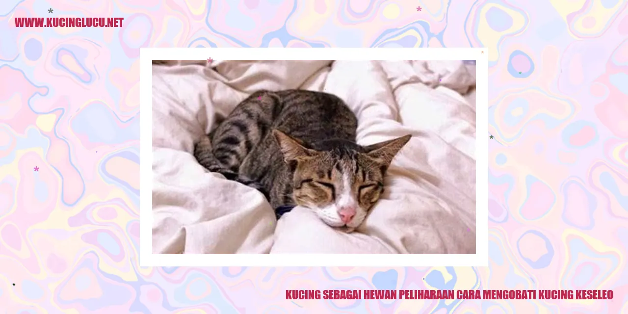 Gambar Kucing Mengobati Kucing Keseleo